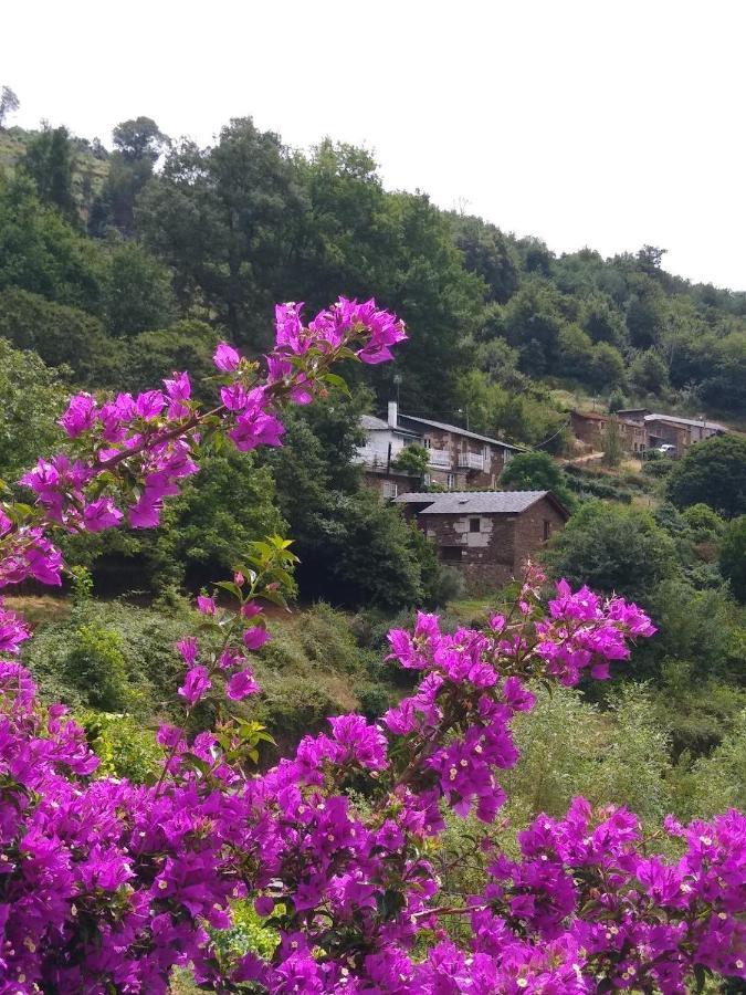 펄레이라 Ribera Sacra 빌라 외부 사진